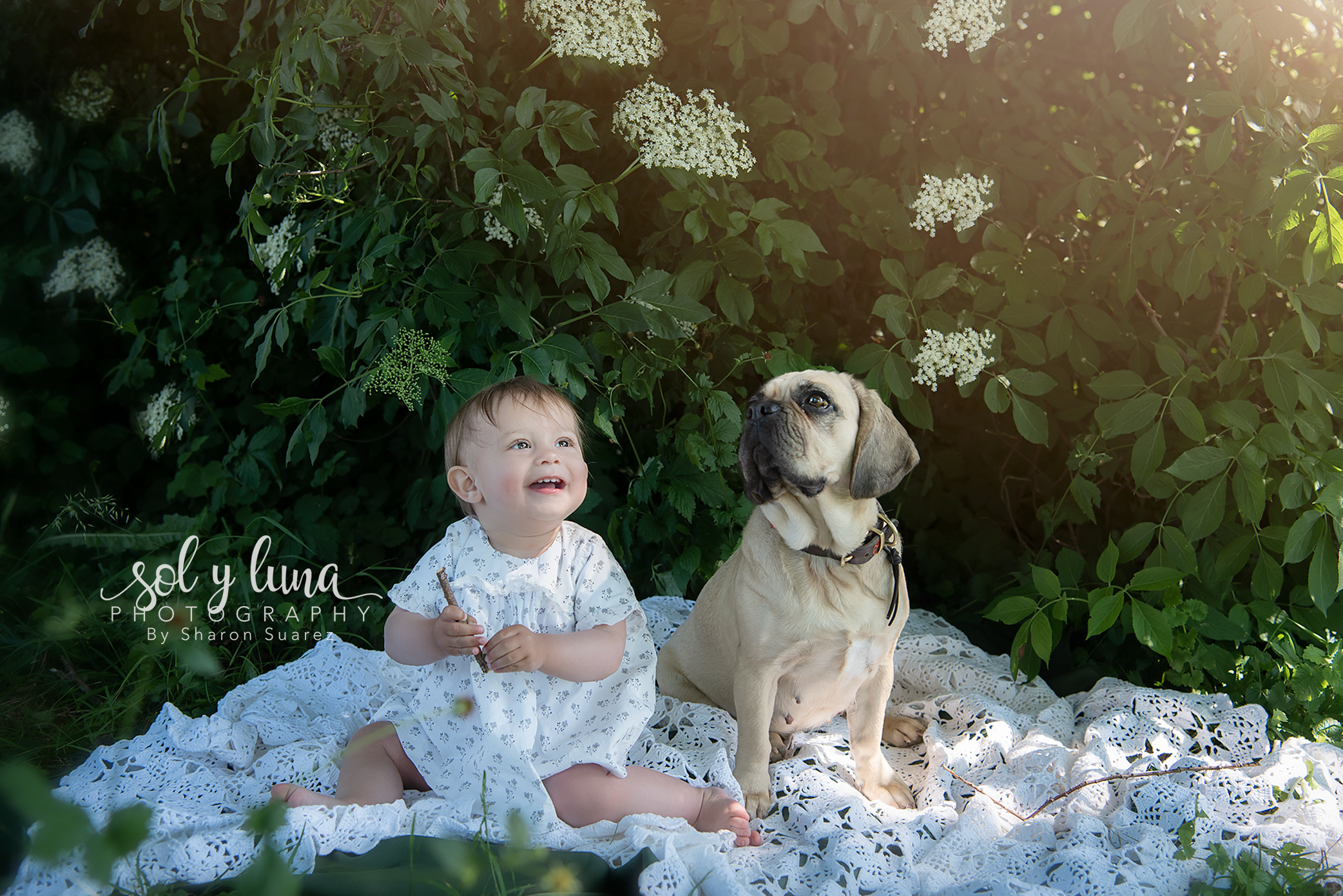 Familie Fotoshooting Bern, Solothurn