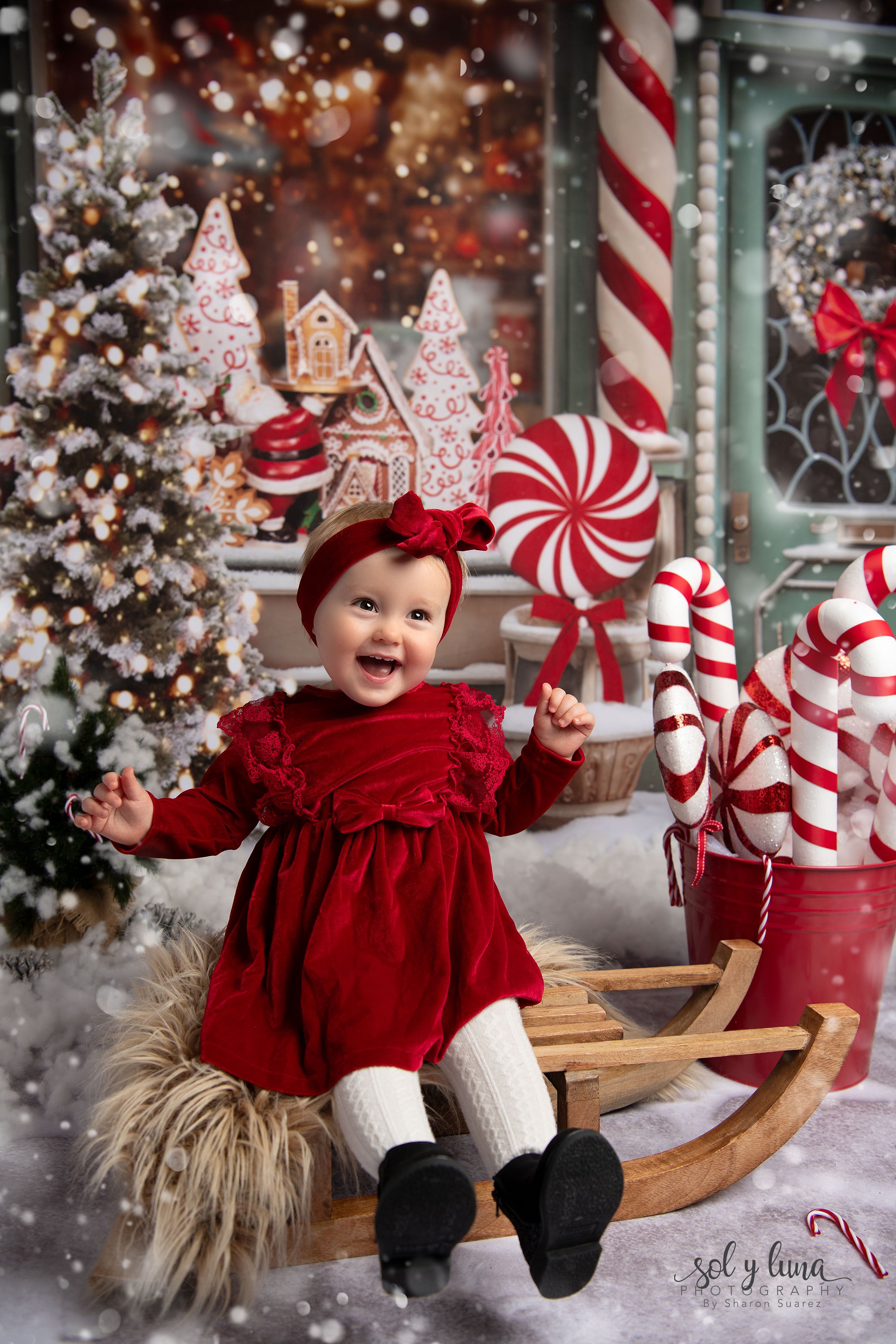 Weihnachtsfotoshooting Solothurn