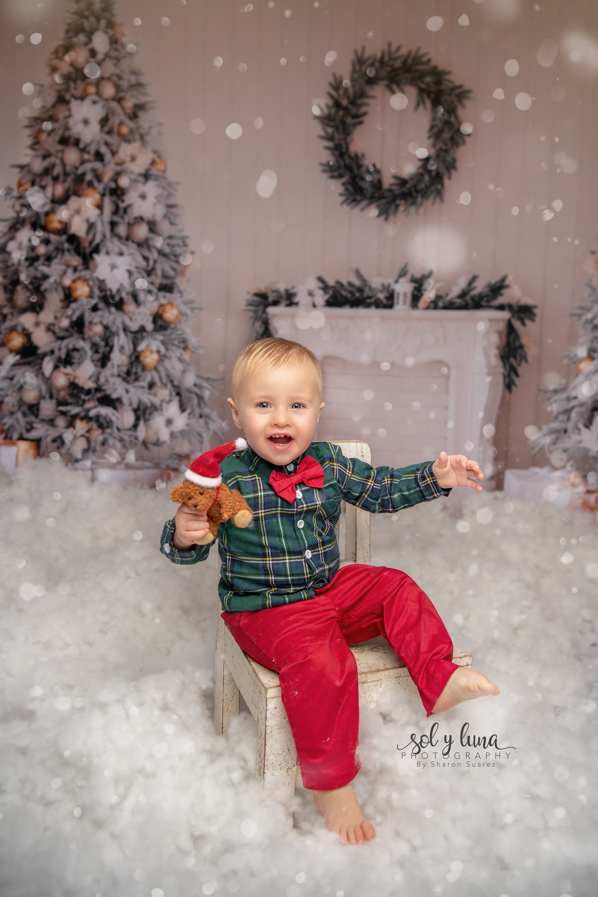 Weihnachtsfotoshooting Solothurn